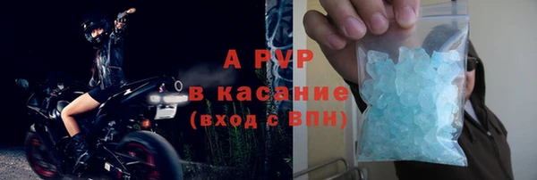 стафф Алексин