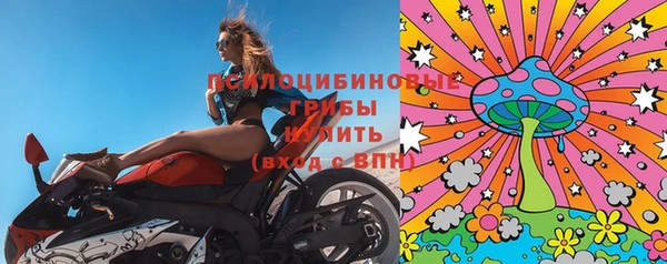 стафф Алексин